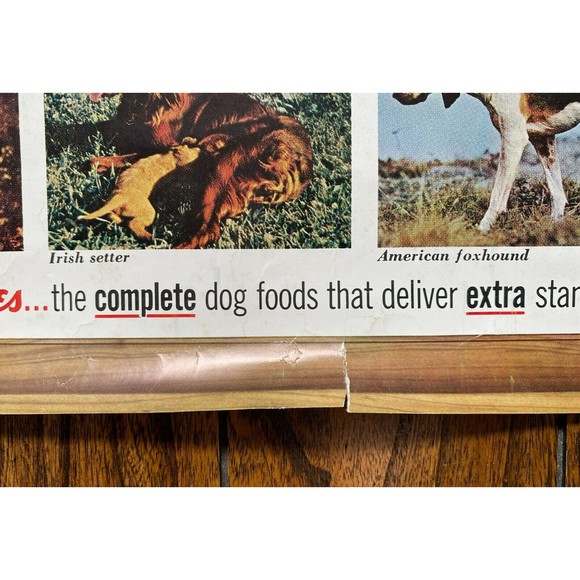 Friskies 18 Hunting Dogs Poster Outdoor Life Photos VINTAGE (20) - Picture 5 of 7